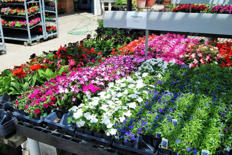 Garden Center Huntington Nursery & Florist