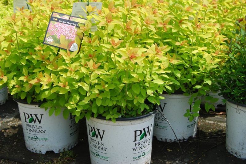 Garden Center Huntington Nursery & Florist