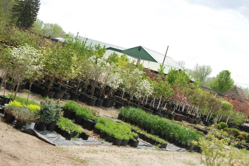 Garden Center Huntington Nursery & Florist