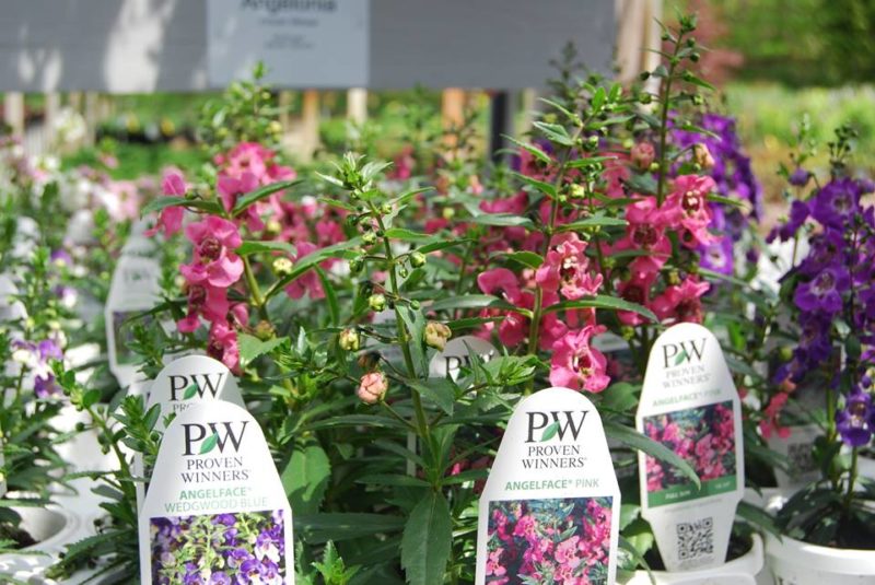 Florist Huntington Nursery & Florist