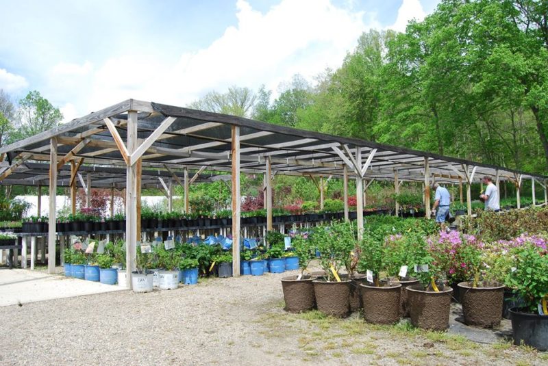 Garden Center Huntington Nursery & Florist