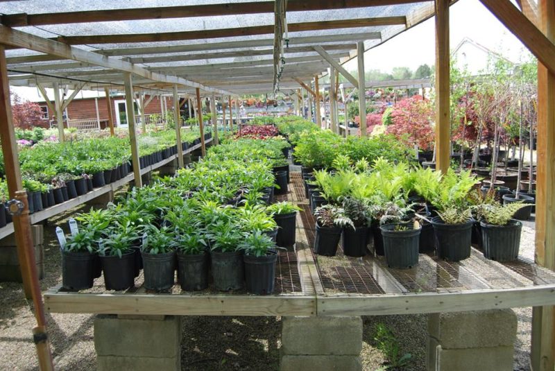 Garden Center Huntington Nursery & Florist