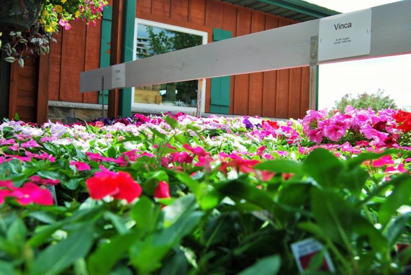 Florist Huntington Nursery & Florist